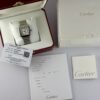 Cartier Santos WSSA0010